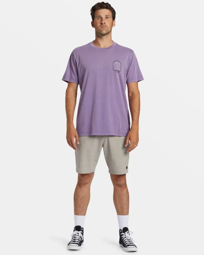 Billabong TShirts Vacay TShirt Dusty Grape 8211 Men