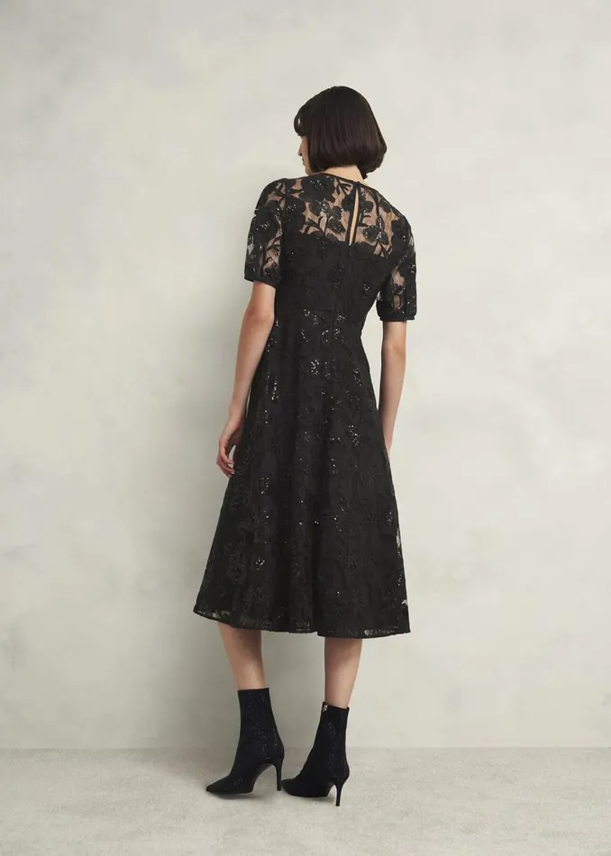 Dresses and Jumpsuits Women HOBBS Ami Lace Sequin Midi Dress Hobbs Black