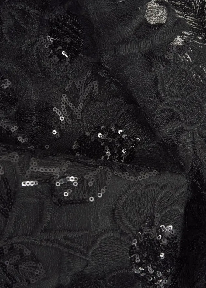 Dresses and Jumpsuits Women HOBBS Ami Lace Sequin Midi Dress Hobbs Black