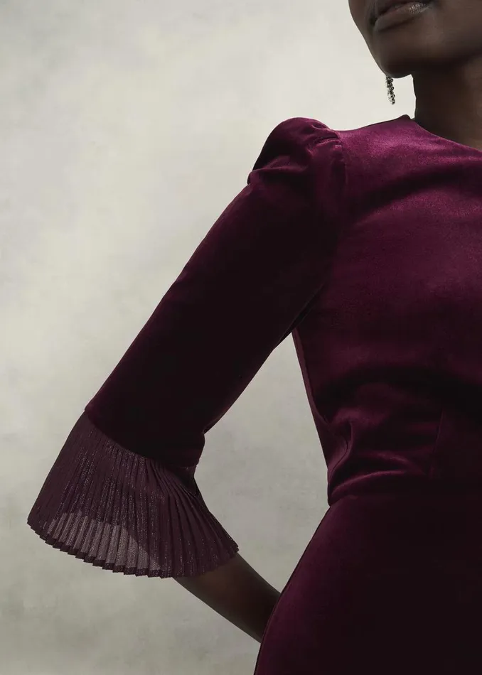 Dresses and Jumpsuits Women HOBBS Ashley Velvet Dress Warm Plum