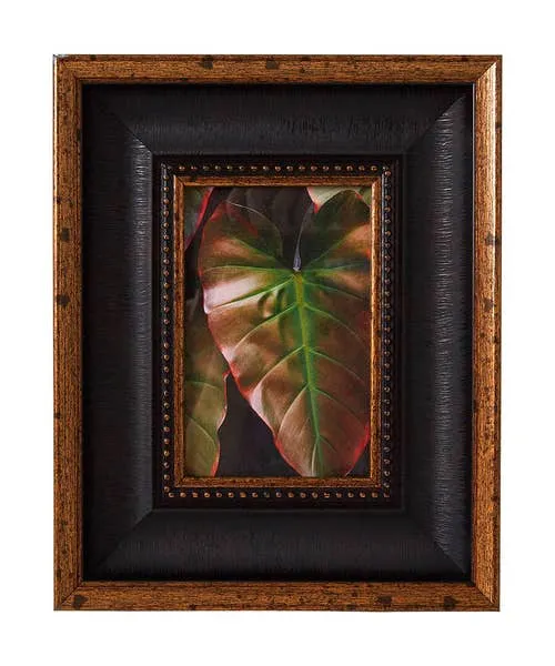 Home Accessories Black and Gold Beautifully Beaded Photo Frame Black 8211 Joebrowns Homeware Home Accessories Black and Gold Beautifully Beaded Photo Frame Black 8211 Joebrowns Homeware