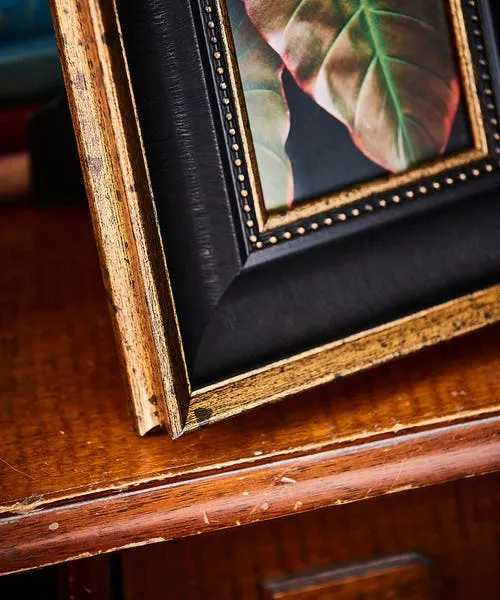 Home Accessories Black and Gold Beautifully Beaded Photo Frame Black 8211 Joebrowns Homeware Home Accessories Black and Gold Beautifully Beaded Photo Frame Black 8211 Joebrowns Homeware