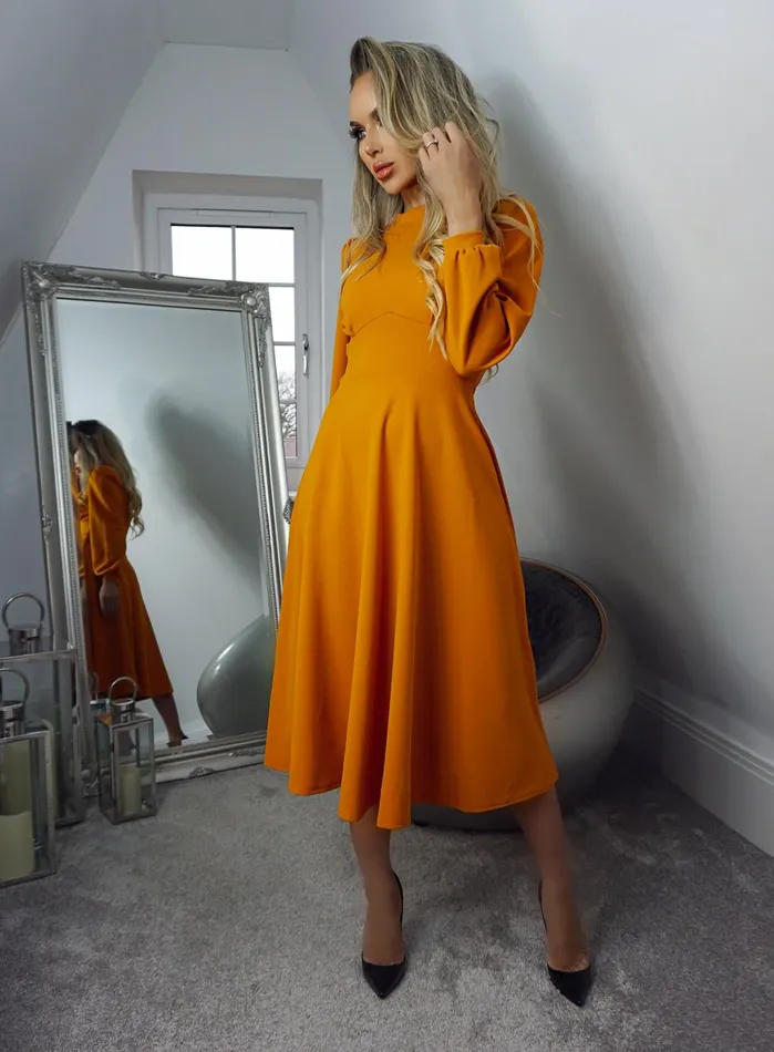 Julietta Mustard Long Sleeve Turtle Neck Skater Dress Women Missfiga Skater Dresses