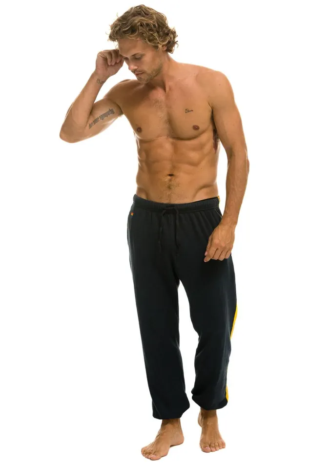 Men Bottoms Aviator Nation 5 STRIPE SWEATPANTS 8211 CHARCOAL