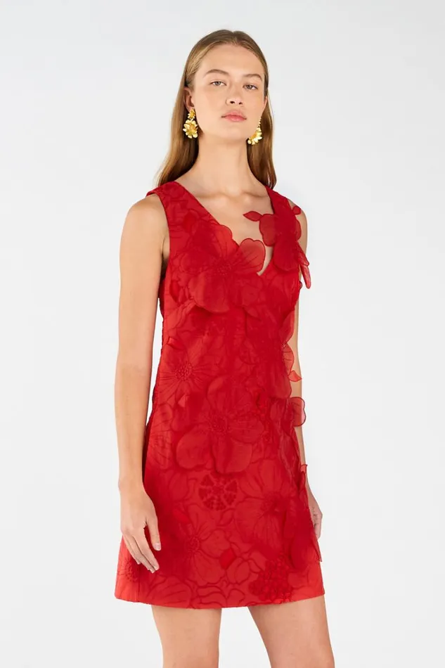 Oroton Dresses Women Lace Shift Dress Poppy