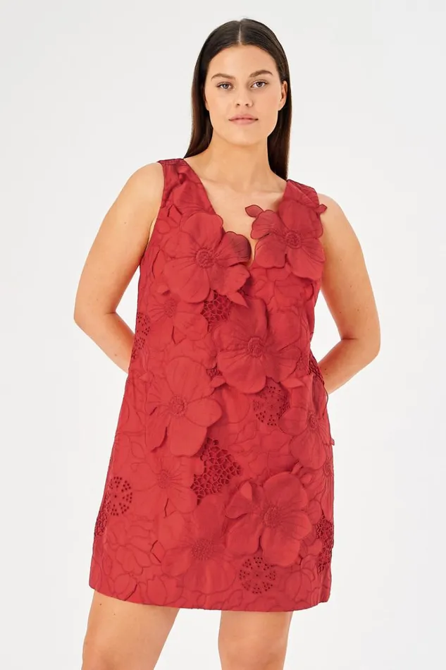 Oroton Dresses Women Lace Shift Dress Poppy