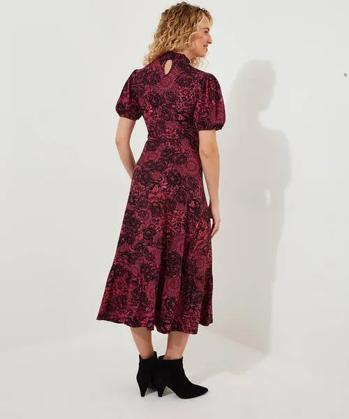 Petite Collection Lovely Lace Print Jersey Dress Pink Joebrowns Apparel Petite Collection Lovely Lace Print Jersey Dress Pink Joebrowns Apparel