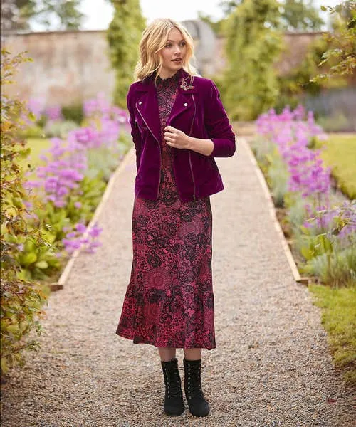 Petite Collection Lovely Lace Print Jersey Dress Pink Joebrowns Apparel Petite Collection Lovely Lace Print Jersey Dress Pink Joebrowns Apparel