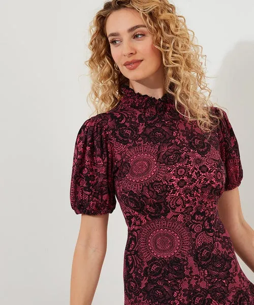 Petite Collection Lovely Lace Print Jersey Dress Pink Joebrowns Apparel Petite Collection Lovely Lace Print Jersey Dress Pink Joebrowns Apparel