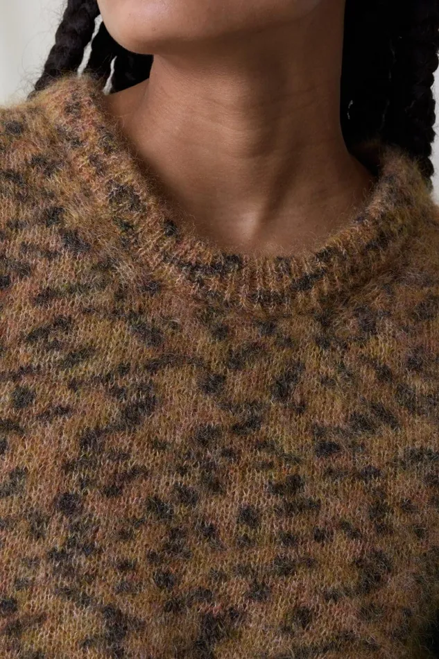 Pulls and Vests Women Leon and Harper Maleo Leopard Jumper Beige