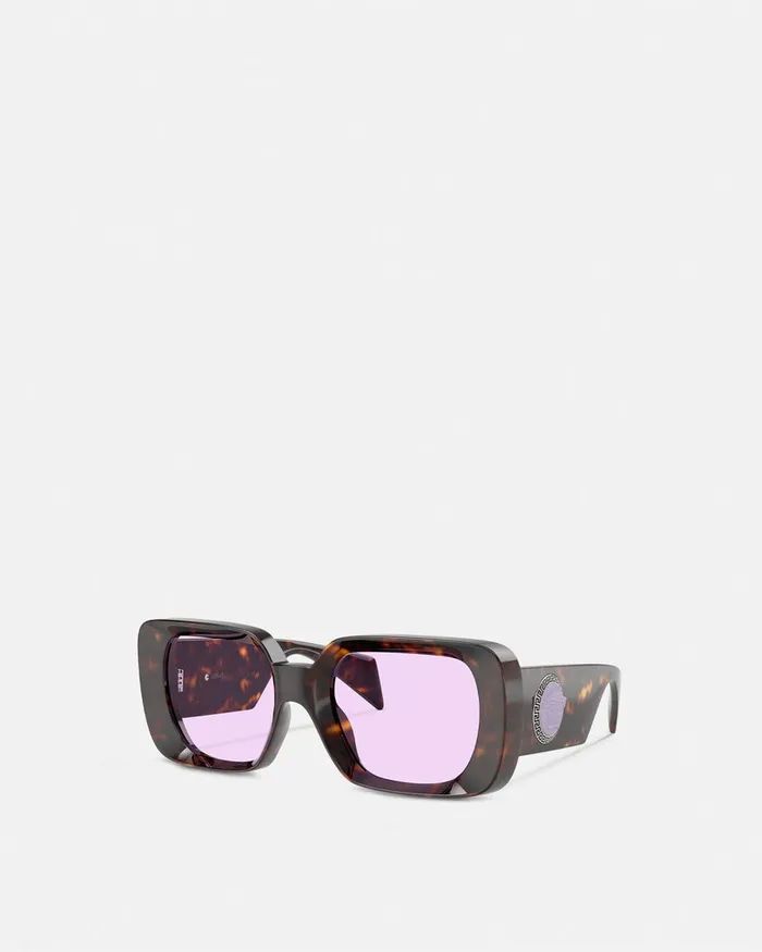 Versace Sunglasses WomenMen Medusa Medallion Sunglasses Havana