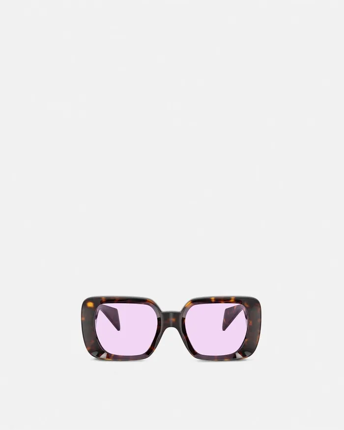 Versace Sunglasses WomenMen Medusa Medallion Sunglasses Havana