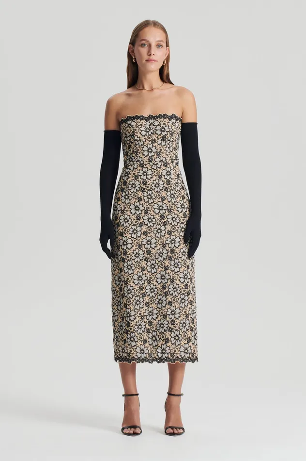 Women Dresses Scanlan Theodore EMBROIDERED FLORAL DRESS BLACKCREAM