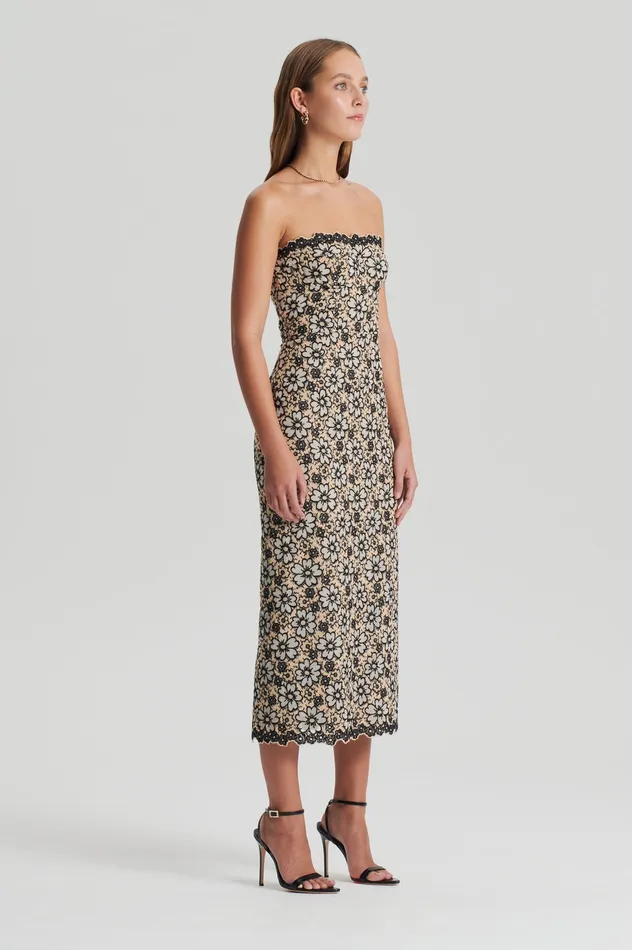 Women Dresses Scanlan Theodore EMBROIDERED FLORAL DRESS BLACKCREAM Women Dresses Scanlan Theodore EMBROIDERED FLORAL DRESS BLACKCREAM