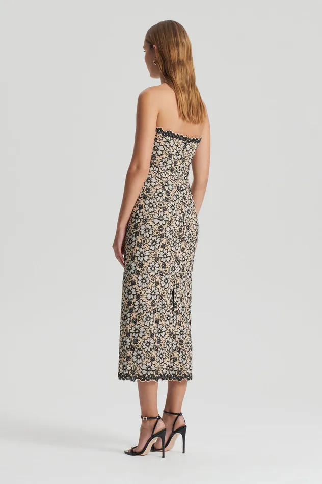 Women Dresses Scanlan Theodore EMBROIDERED FLORAL DRESS BLACKCREAM Women Dresses Scanlan Theodore EMBROIDERED FLORAL DRESS BLACKCREAM